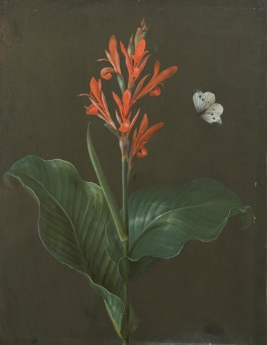 Lot 164 - Barbara Regina Dietzsch (German, 1706-1783), Johann Christoph Dietzsch (1710-1769)