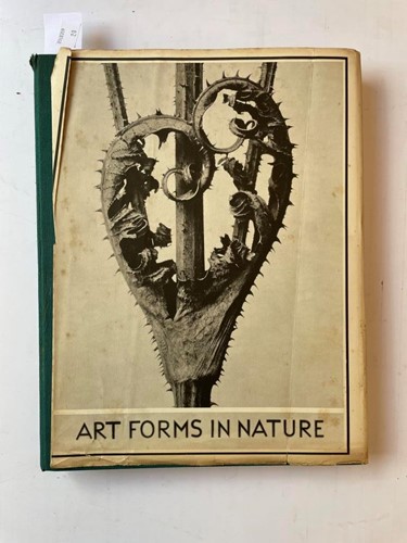 Lot 364 - BLOSSFELDT (Professor Karl) Art Forms in...