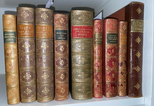 Lot 366 - Prize bindings. BENNETT (A W) The Flora of the...