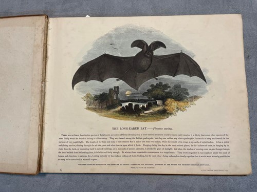 Lot 222 - Plates Illustrative of Natural History,...