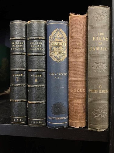 Lot 279 - GOSSE (Philip Henry) A History of the British...