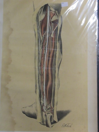 Lot 359 - A group of four anatomical 19th century prints,...
