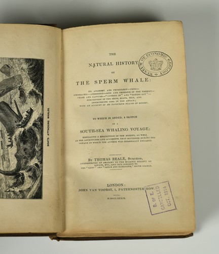 Lot 227 - BEALE (Thomas) The Natural History of the...