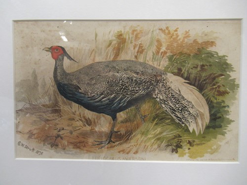 Lot 311 - A group of five 19th and 20th century prints,...