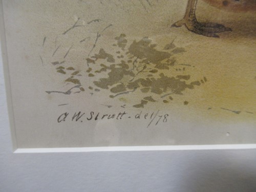 Lot 311 - A group of five 19th and 20th century prints,...