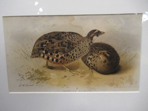 Lot 311 - A group of five 19th and 20th century prints,...