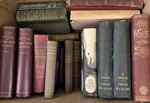 Lot 374 - Natural history including marine life. Various...