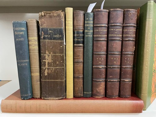 Lot 284 - Natural history - plants, remedies, reptiles,...