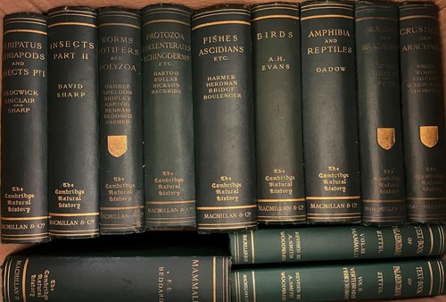 Lot 306 - Natural History and anthropology. The...