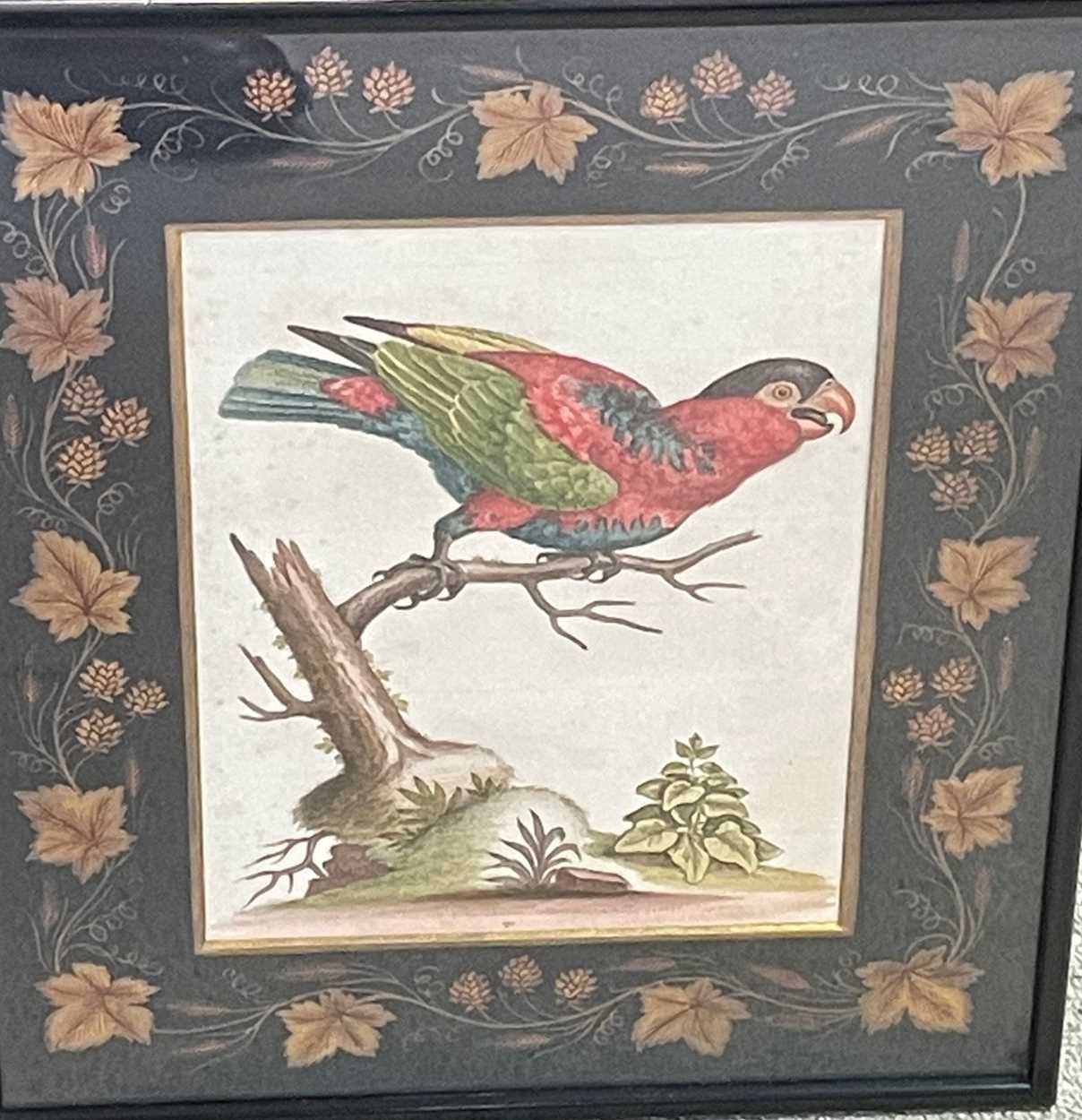 Lot 49 - George Edwards, First Black-Capped Lory, hand