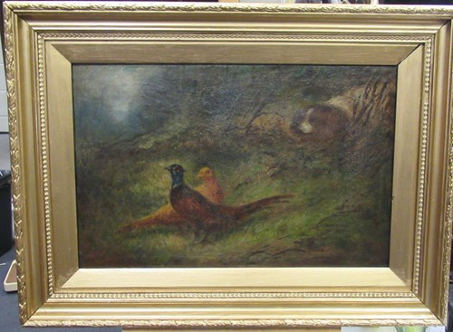 Lot 241 - Follower of George Armfield Pheasants with a...