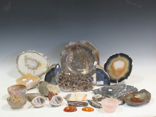 Lot 130 - A collection of various fossils, minerals, and...