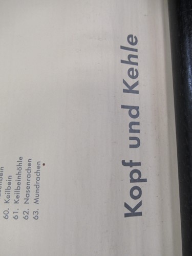 Lot 30 - A mid-20th century German anatomy chart and...