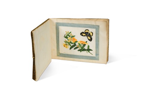 Lot 128 - A book of Chinese studies of butterflies and flowers, 19th century