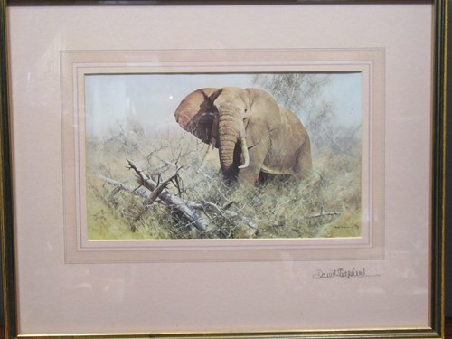 Lot 398 - A David Shepherd print of an elephant, signed...
