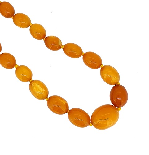 Lot 41 - A single row of amber beads