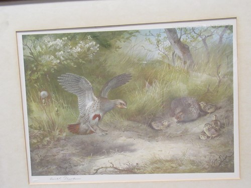 Lot 478 - Archibald Thorburn (Scottish, 1860-1935)...