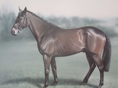 Lot 450 - Bishop's Yarn signed print of a horse, signed...