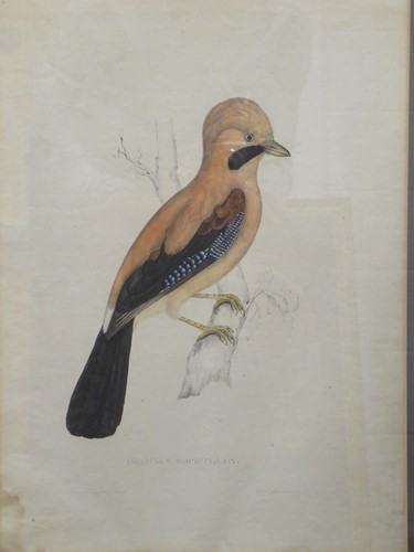 Lot 506 - A pair of handcoloured lithographs after John...