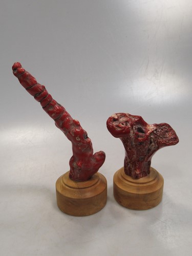 Lot 275 - Two coral fragments mounted on wooden plinths (2)