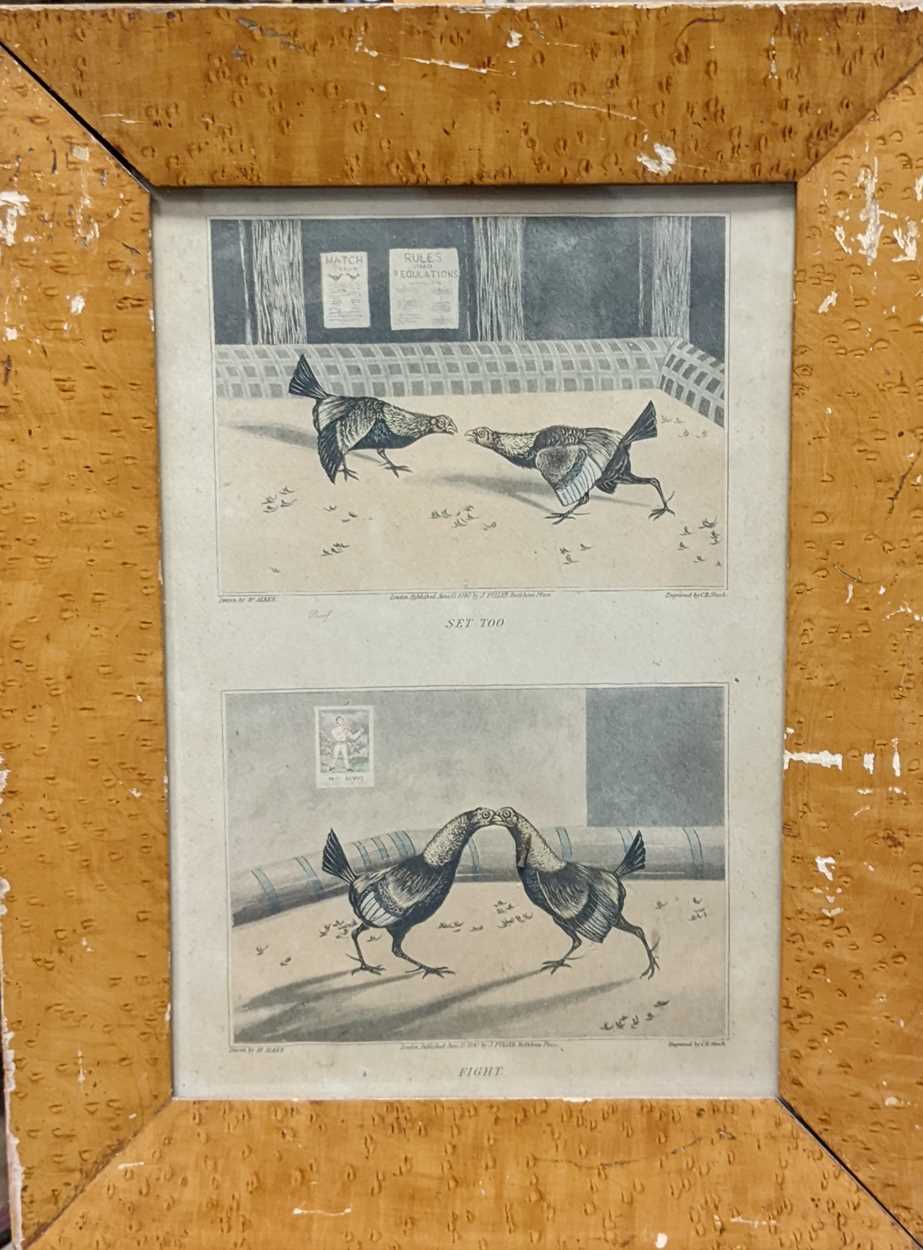Lot 221 - A group of pictures relating to cock fighting,...