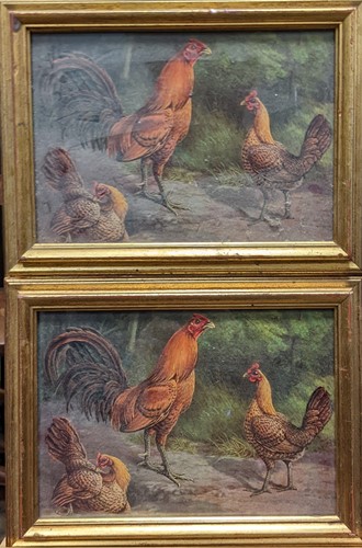 Lot 221 - A group of pictures relating to cock fighting,...