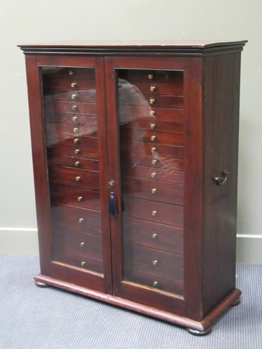 Lot 509 - A 19th century glazed two door collectors...