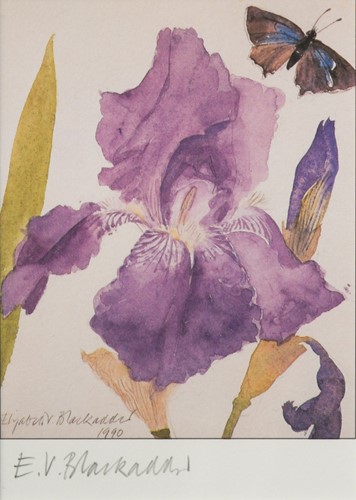 Lot 420 - Dame Elizabeth Blackadder DBE, RA, RSA (British 1931-2021)