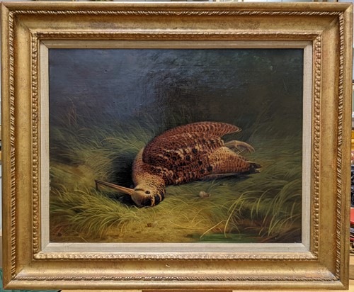 Lot 565 - Abel Hold (British, 1815–1891) A woodcock in a...
