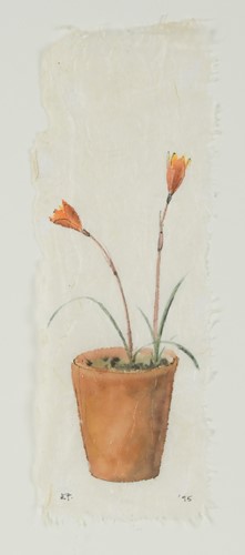 Lot 434 - Lady Emma Tennant (British 1943-)