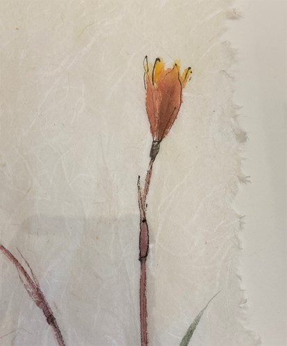 Lot 434 - Lady Emma Tennant (British 1943-)