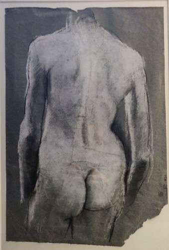 Lot 442 - Modern British School - A male nude charcoal...
