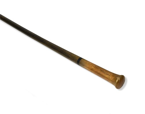Lot 151 - A rhinoceros horn walking stick, circa 1890