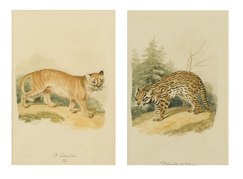 Lot 277 - Samuel Howitt (British, 1756-1822)