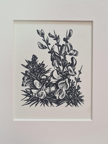 Lot 294 - Agnes Miller-Parker (Scottish 1895-1980)