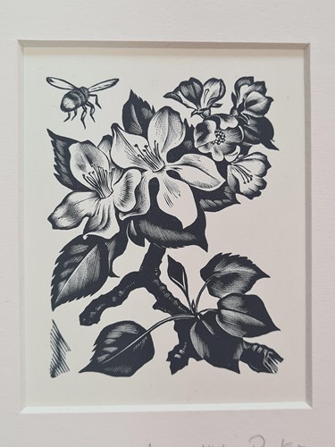 Lot 294 - Agnes Miller-Parker (Scottish 1895-1980)