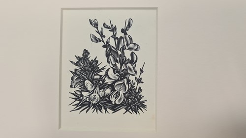 Lot 294 - Agnes Miller-Parker (Scottish 1895-1980)