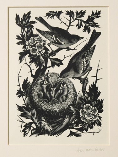 Lot 294 - Agnes Miller-Parker (Scottish 1895-1980)