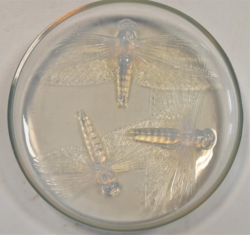 Lot 19 - Libellules,  an R. Lalique opalescent glass powder box and cover, designed 1921