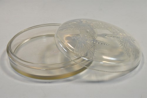 Lot 19 - Libellules,  an R. Lalique opalescent glass powder box and cover, designed 1921