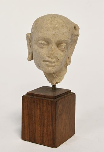 Lot 59 - A Gandharan stucco head of a Buddhist ascetic, 3rd-5th century