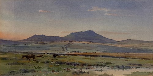 Lot 315 - Frank Watson Wood (1862-1953) Brown Willie,...