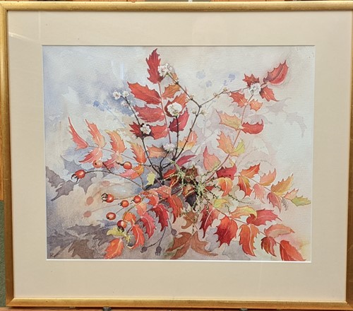 Lot 430 - Frances Colquhoun, Mahonia Vibernum, signed in...