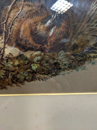 Lot 397 - William Dexter (Australian, 1818-1860), still...