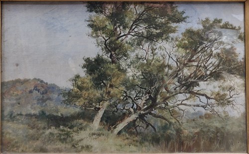 Lot 250 - English School, 19th century