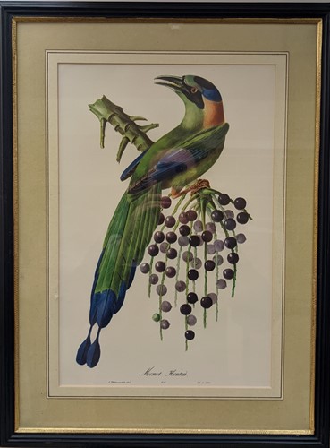 Lot 364 - Three ornithological prints to include Momot...