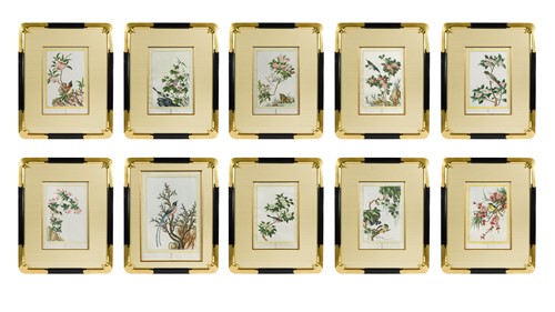 Lot 618 - Pierre Joseph Buchoz (1731-1807), a collection of ten hand coloured etchings