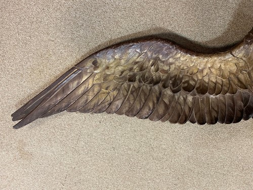 Lot 369 - A large carved and painted wood eagle, 19th century