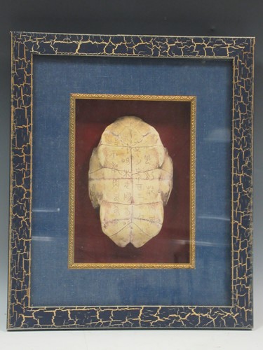 Lot 165 - An oracle bone inscription on turtle shell, 19...