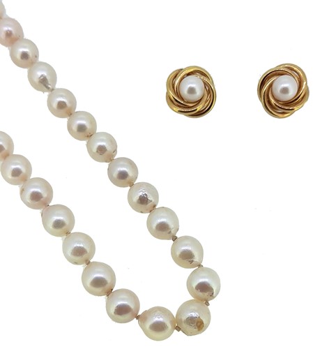 Lot 204 - A single row of pearls, together with a pair of pearl ear studs